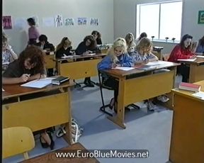 Beasts on the School Bench (1995)