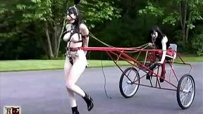 Chained Pleasure: A Tale of BDSM and Fetish